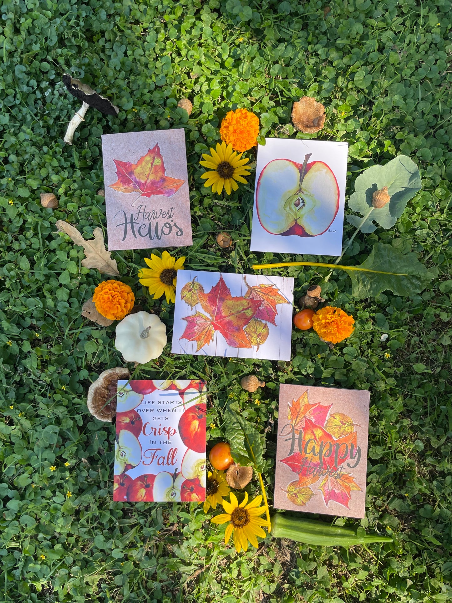 Fall Harvest Basket Greeting Card Set