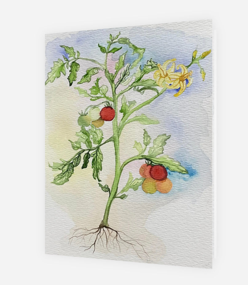 A watercolor-style botanical artwork greeting card of a tomato plant with green leaves, red and yellow fruits, and visible roots on a textured off-white background.