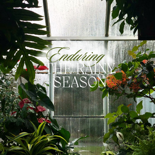 Life in the Garden: Dealing with setbacks and tips for perseverance