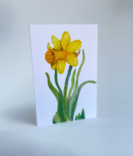 Daffodil Blank Card