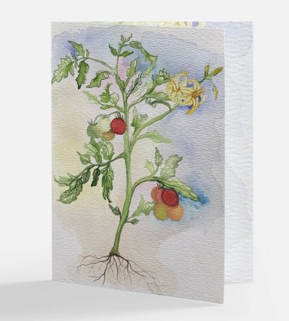 Fresh Tomatoes Greeting Card