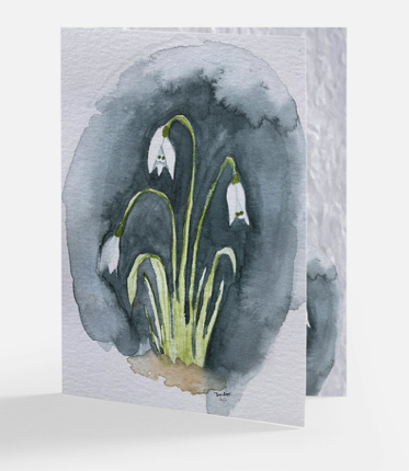 Snowdrops Greeting Card Set