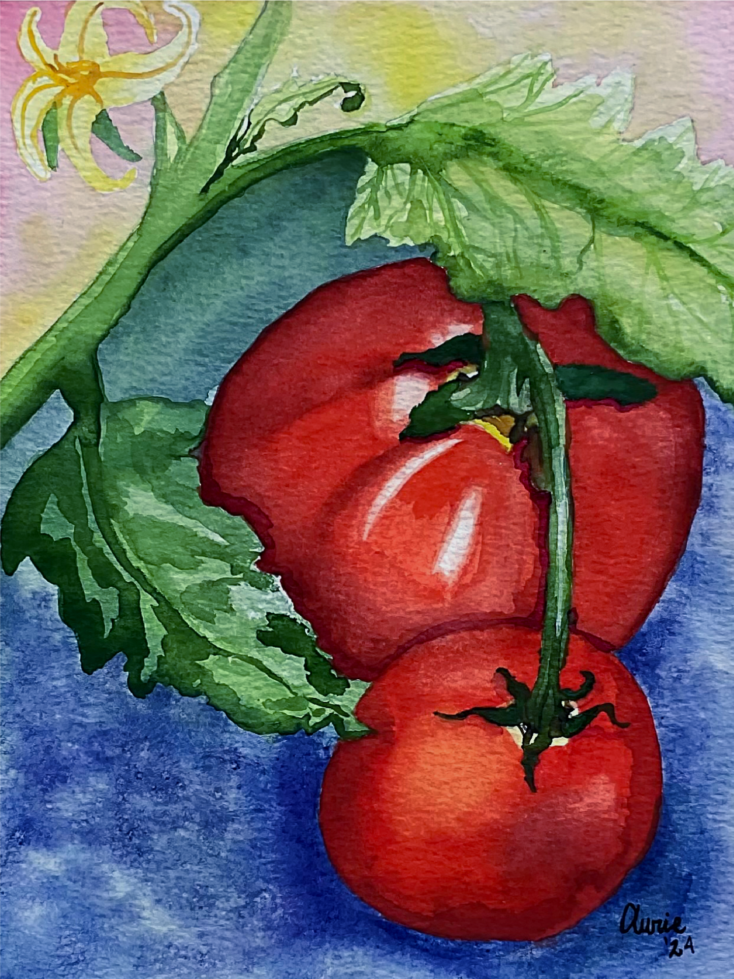 Watercolor painting of three red tomatoes on a vine with green leaves, set against a blue and pink background with a small yellow flower in the upper left. Signed 'Olivia 2024' in the lower right corner.